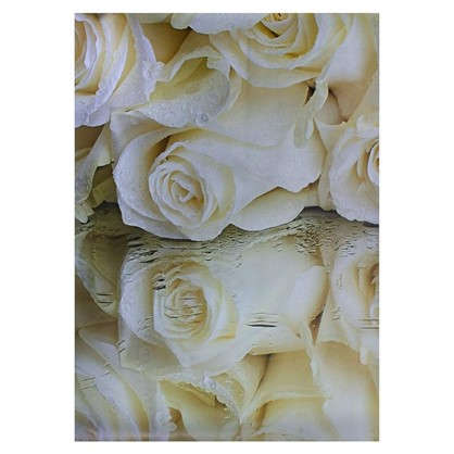 Фотообои бумажные Белые розы 368x254 см