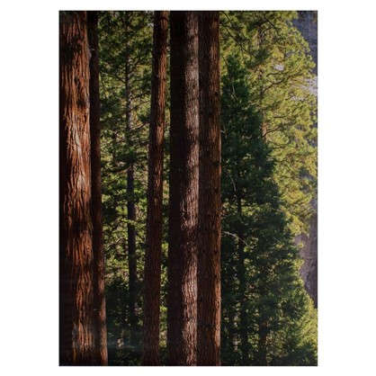 Фотообои бумажные Йосемитский водопад 184х254 см
