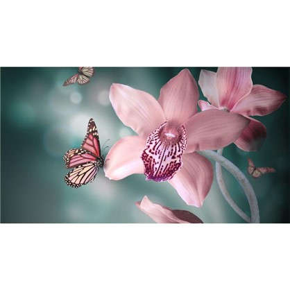 Фотообои флизелиновые Орхидеи бабочки 370х200 см