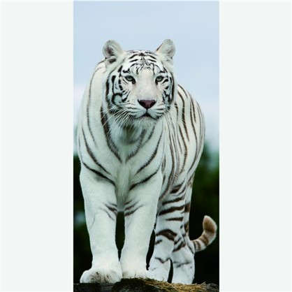 Фотообои флизелиновые Тигр 100х200 cм