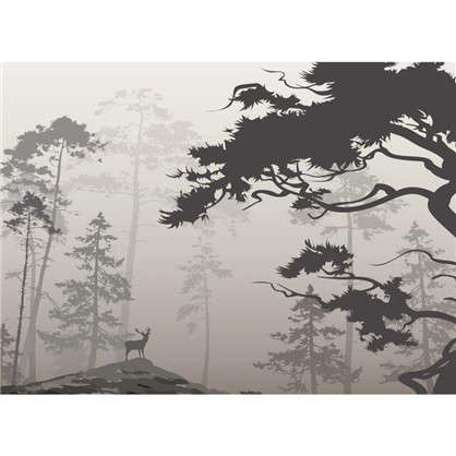 Фотообои флизелиновые Туманный лес 370х270 см