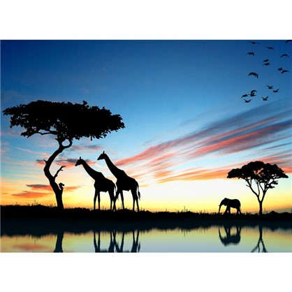 Фотообои флизелиновые Жирафы 370х270 см