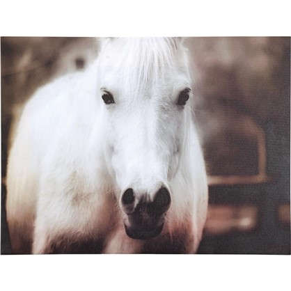 Картина на холсте Белая лошадь 30х40 см