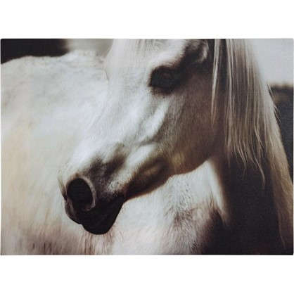 Картина на холсте Лошадь черно-белая 30х40 см