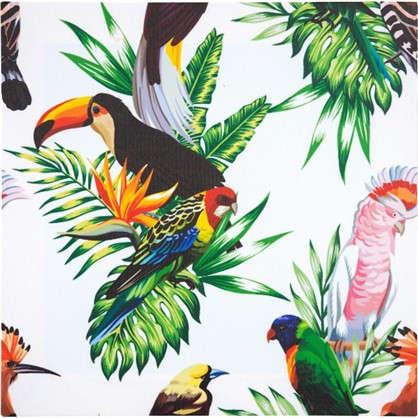 Картина на холсте Тропические птицы 40х40 см
