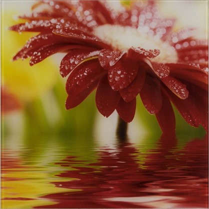 Картина на стекле 30х30 см Red flower 27737524