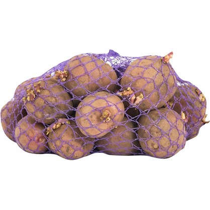 Картофель семенной Ред Соня 2 кг