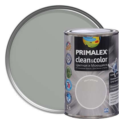 Краска PR-X Clean&Color 1 л Интуиция