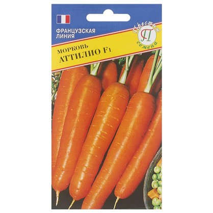 Морковь Аттилио