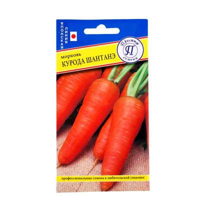 Морковь Курода-шантенэ