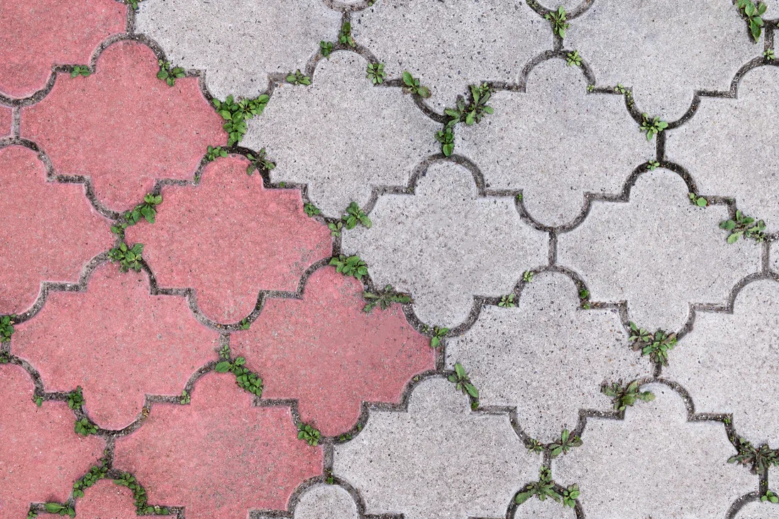 Как правильно уложить тротуарную плитку своими руками: пошаговая инструкция