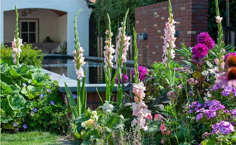 Практичное руководство по созданию идеальных клумб для вашего участка