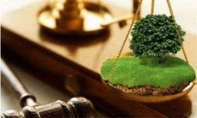 Аренда земли через аукцион в 2025: как участвовать и выиграть торги фото