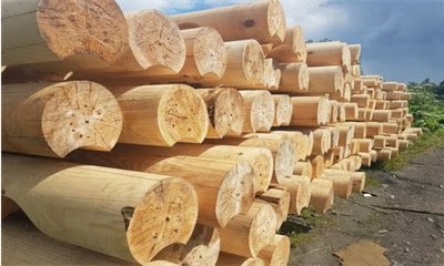 Бревно как строительный материал: от выбора до монтажа