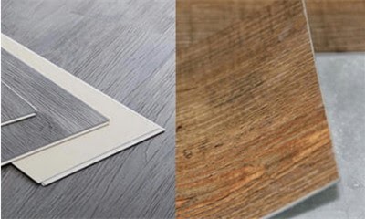 Как заставить орхидею фаленопсис цвести 10 месяцев в году