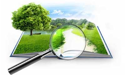 Что изменилось в кадастровой оценке земель в 2025 году