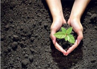 Как правильно арендовать часть земельного участка в 2025 году: 20 ключевыхаспектов