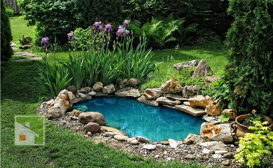 Искусственные водоёмы для дачи 2025: от выбора до эксплуатации фото