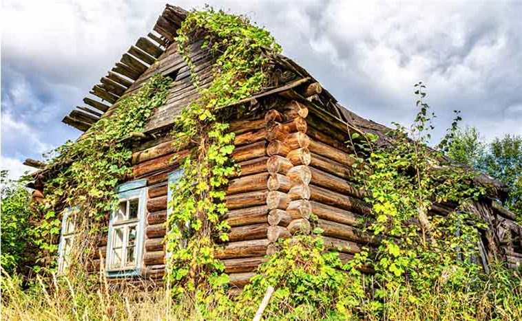 Как купить заброшенный дом и участок в 2025 году: полное руководство