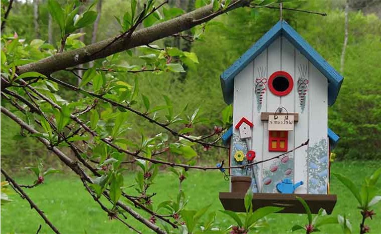 Правильный монтаж скворечника: инструкция от орнитологов