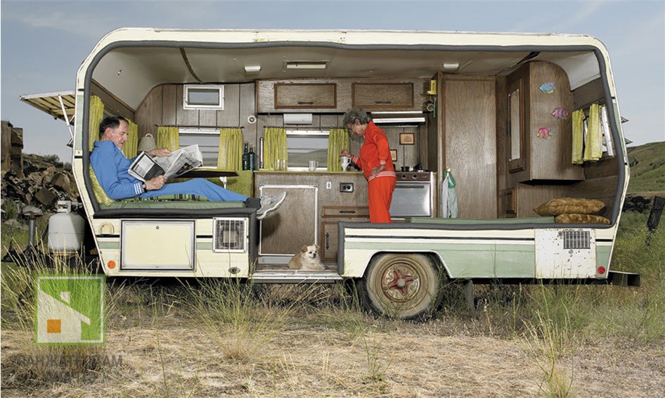 Почему не цветет фаленопсис: 5 реальных причин (и как это исправить)