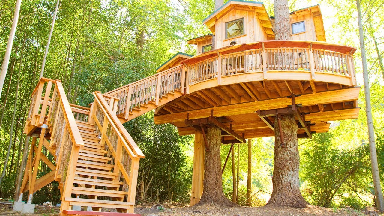Как построить и обустроить идеальный домик на дереве: инструкции + тренды 2025