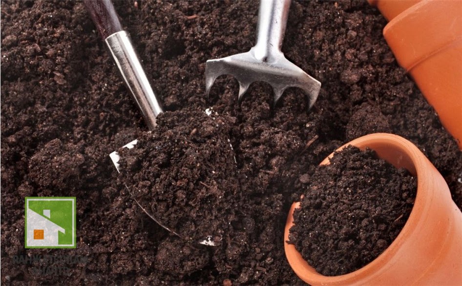 Как подготовить идеальный газон: выбор грунта и технологии 2025 года