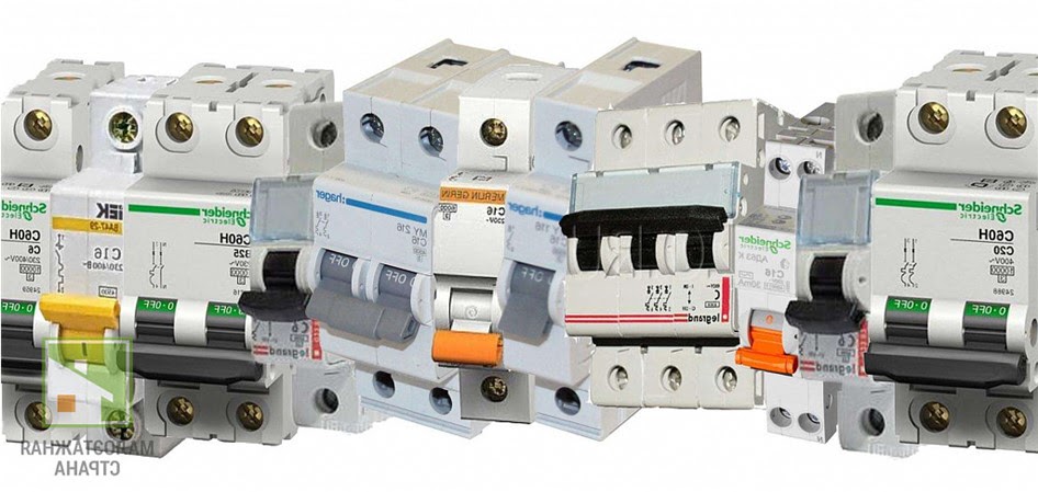 Как вырастить орхидею фаленопсис: научный подход для новичков и профи