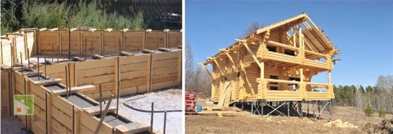 Как вырастить орхидею фаленопсис без ошибок: детальный гид