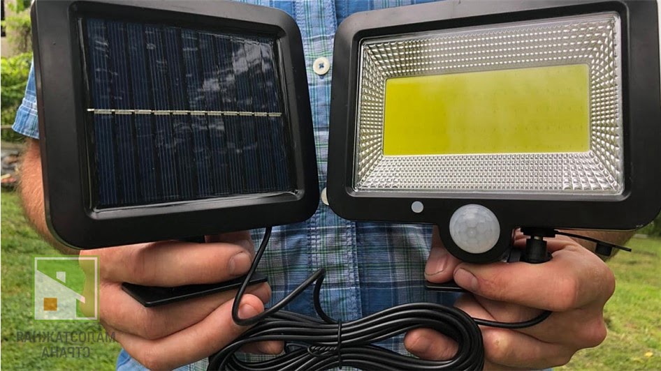 Как снизить холестерин естественными методами: научный подход